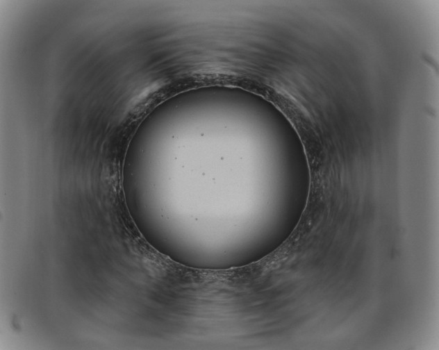 X0000098140870200804241712