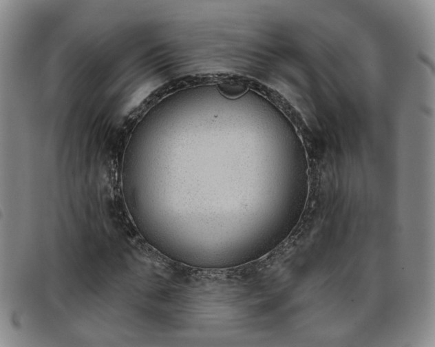 X0000098140871200804241712