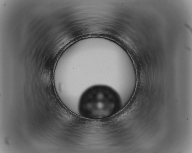 X0000098140873200804241712
