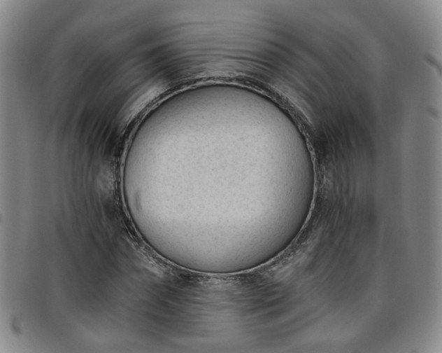X0000098140874200804241712