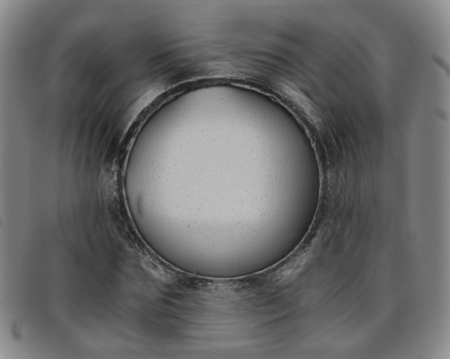 X0000098140875200804241712