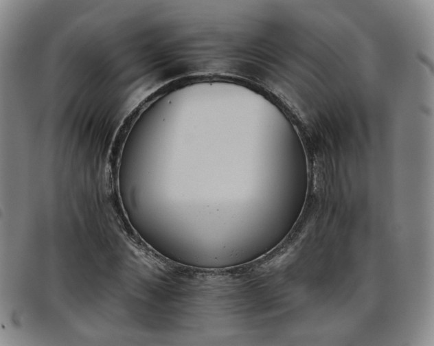 X0000098140876200804241712
