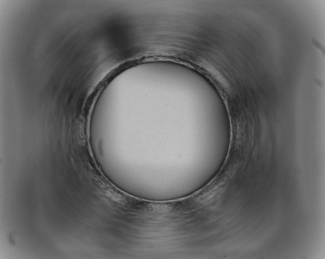 X0000098140878200804241711