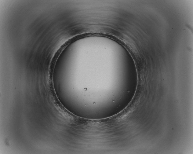 X0000098140880200804241711