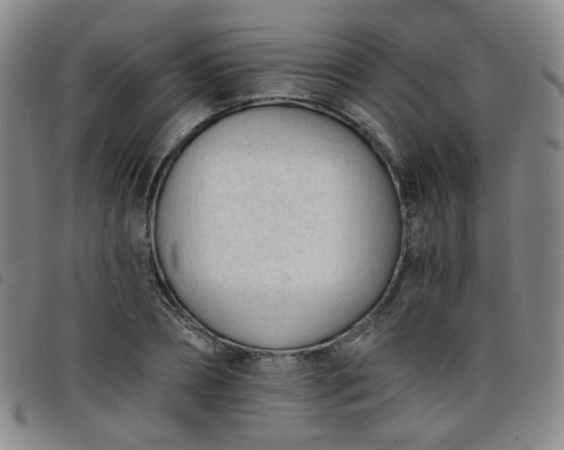 X0000098140882200804241711