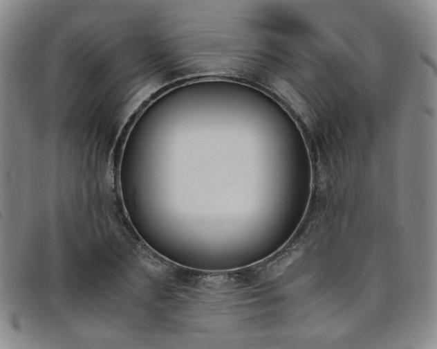 X0000098140883200804241711