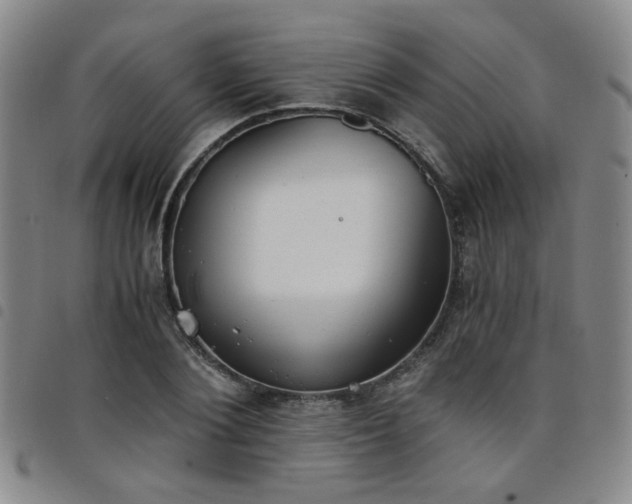 X0000098140884200804241711
