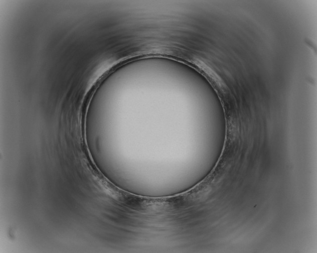 X0000098140886200804241711