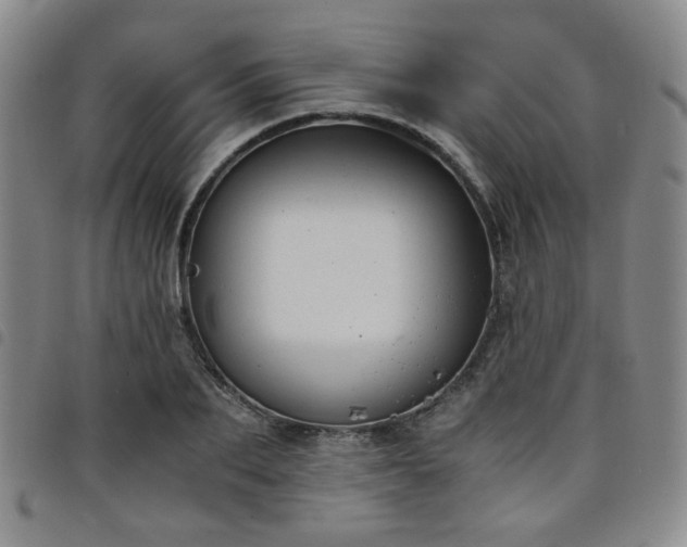 X0000098140887200804241711