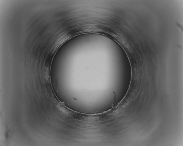 X0000098140889200804241711
