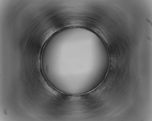 X0000098140890200804241711