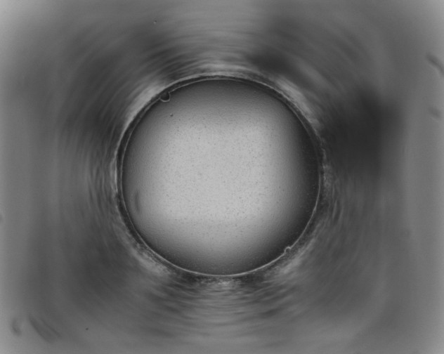 X0000098140891200804241711