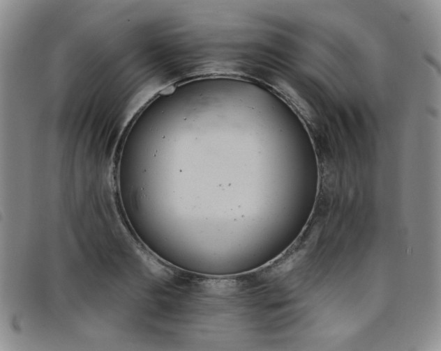 X0000098140893200804241711
