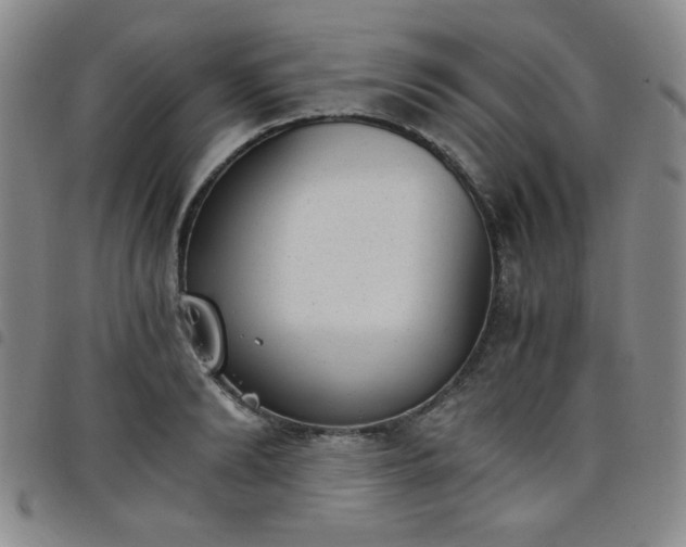 X0000098140894200804241711