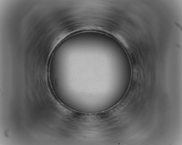 X0000098140895200804241711