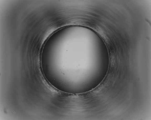 X0000098140896200804241711
