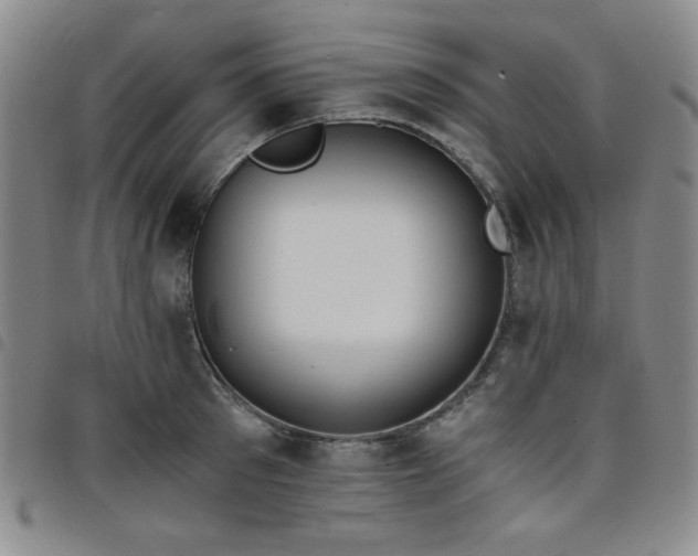 X0000098140897200804241711