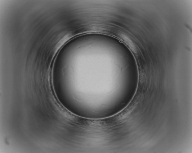 X0000098140899200804241711