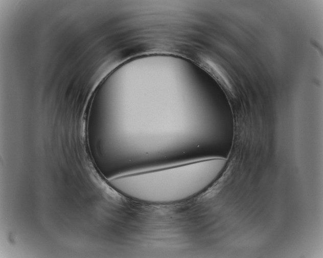 X0000098140900200804241711