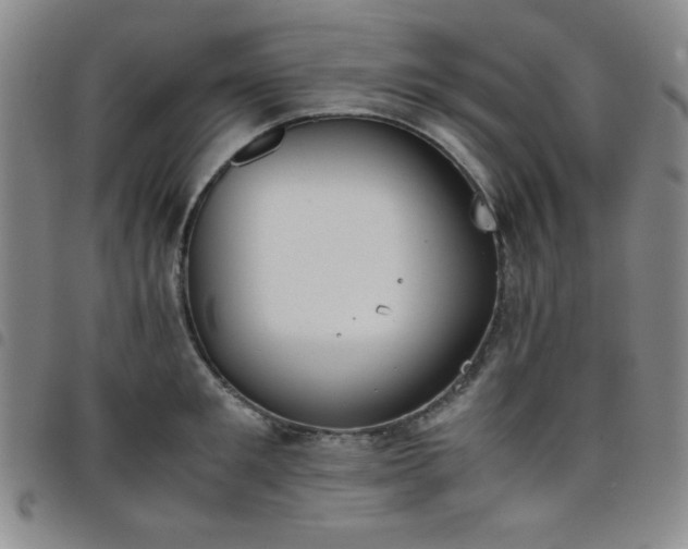 X0000098140901200804241711