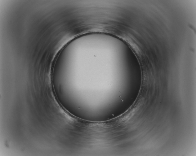 X0000098140902200804241711