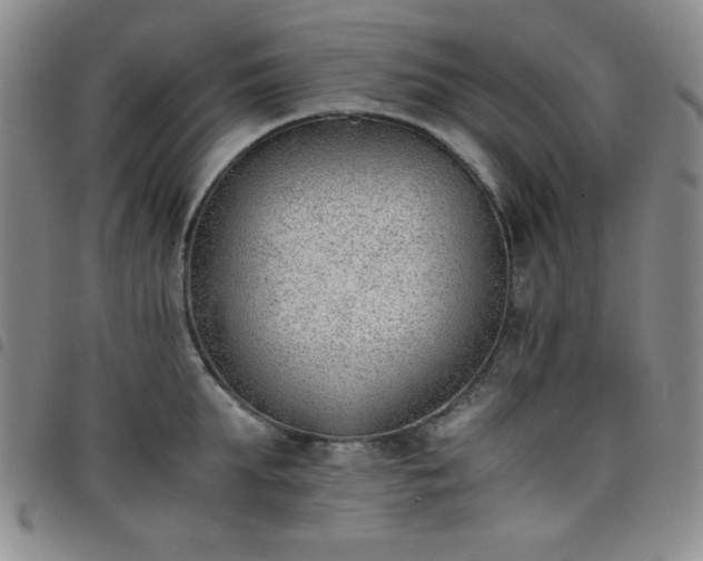 X0000098140903200804241711