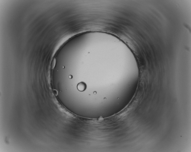 X0000098140904200804241711