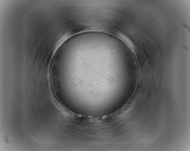 X0000098140907200804241711