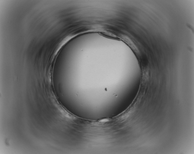 X0000098140908200804241711