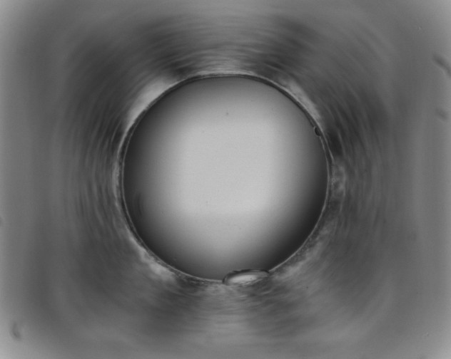 X0000098140909200804241711