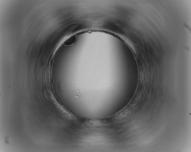 X0000098140911200804241711
