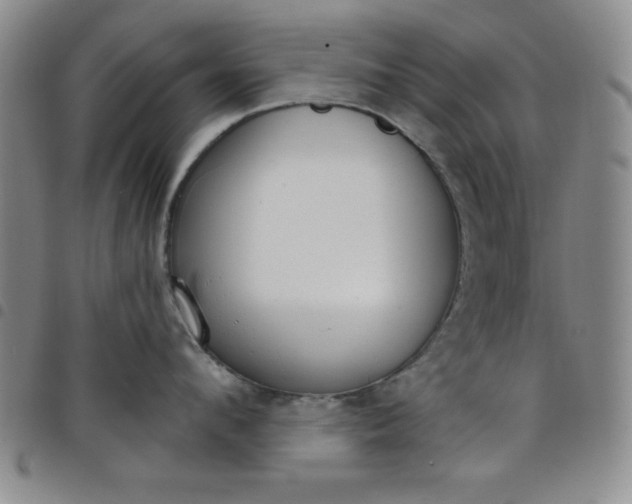 X0000098140912200804241711