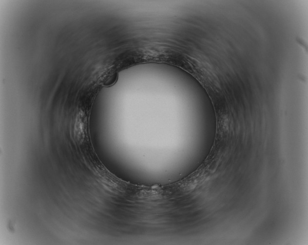 X0000098140914200804241710