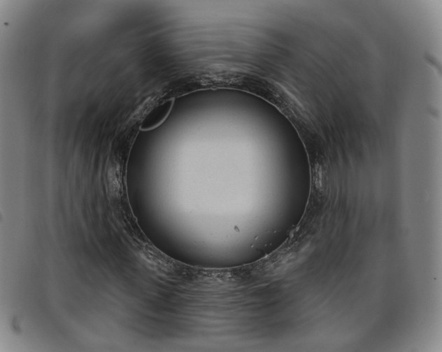 X0000098140915200804241710