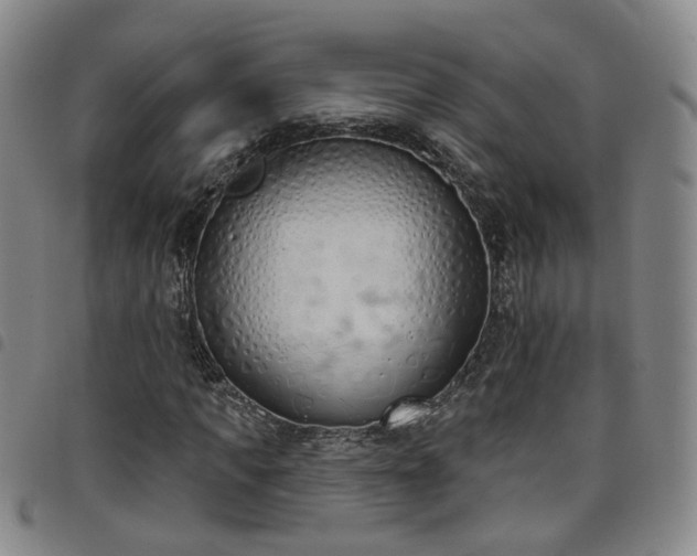 X0000098140917200804241710
