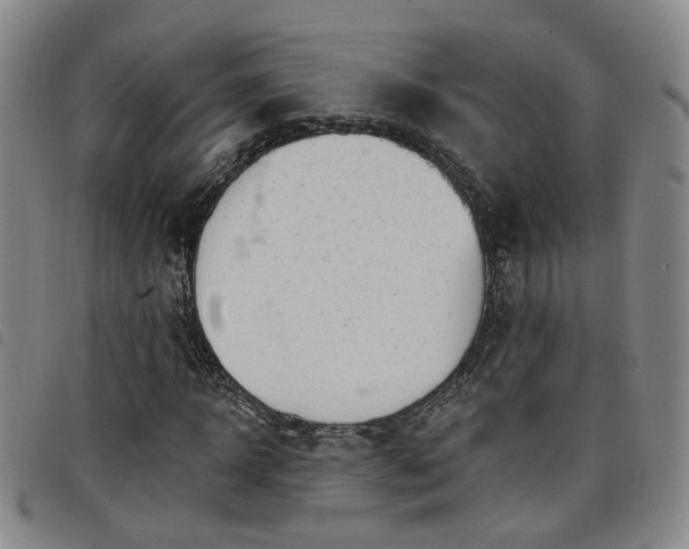 X0000098140918200804241710