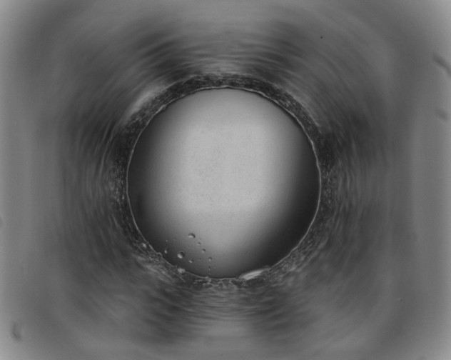 X0000098140919200804241710