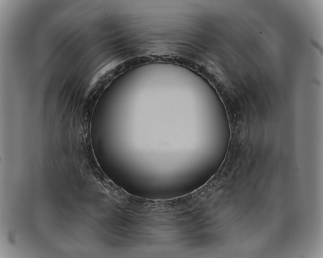 X0000098140920200804241710