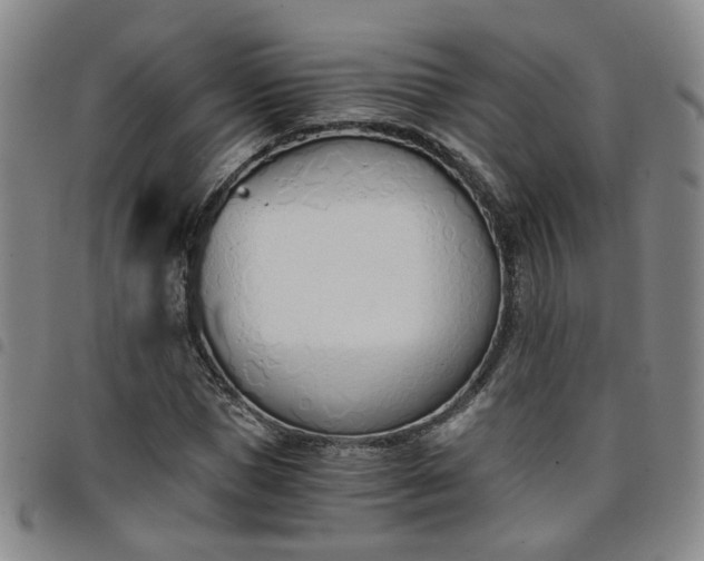 X0000098140921200804241710
