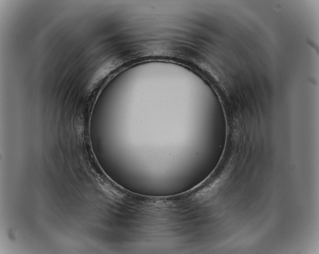 X0000098140922200804241710