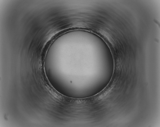 X0000098140923200804241710