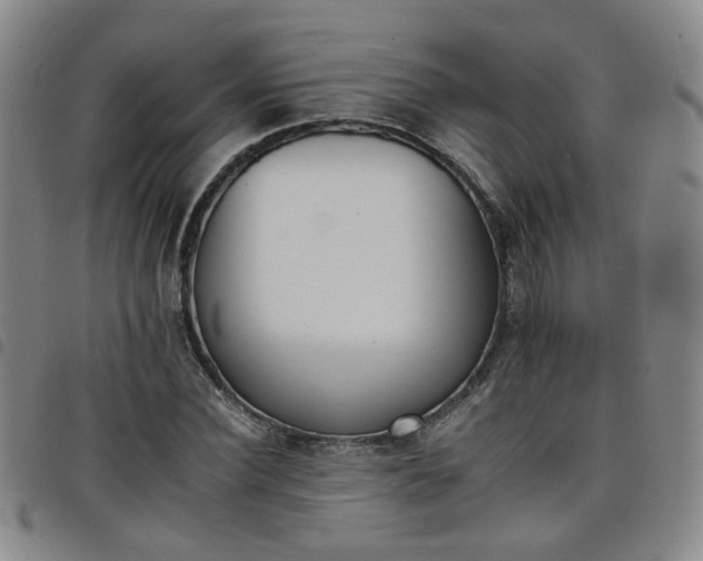 X0000098140924200804241710