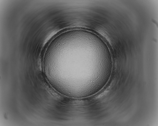 X0000098140925200804241710