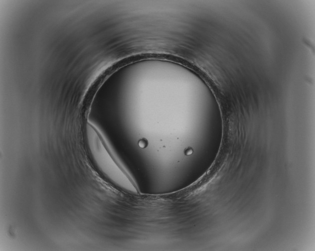 X0000098140926200804241710