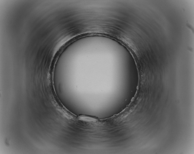 X0000098140928200804241710