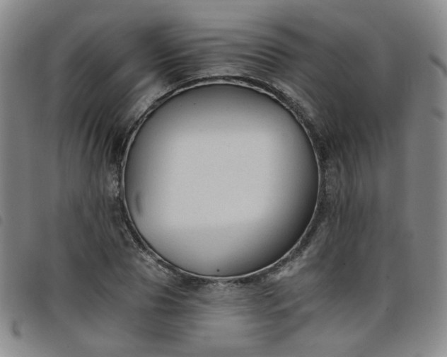 X0000098140929200804241711