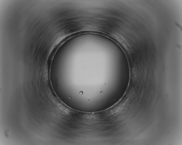 X0000098140931200804241711