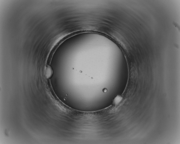 X0000098140932200804241711