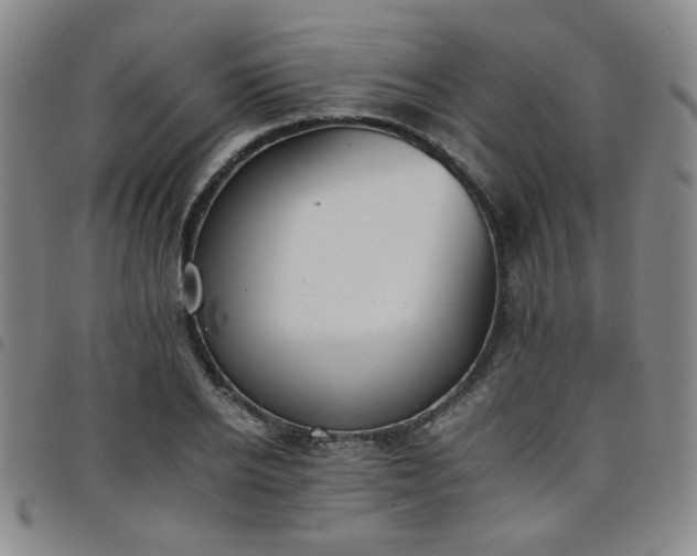 X0000098140934200804241711
