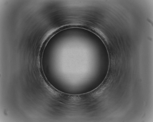 X0000098140935200804241711